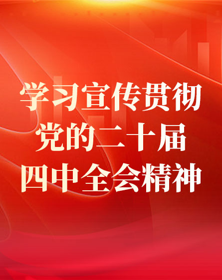 学习宣传贯彻党的二十届四中全会精神
